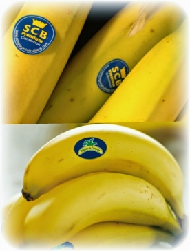 - etiquetas frutas,proveedor etiquetas frutas,proveedor etiquetas frutas guadalajara,etiquetas para frutas